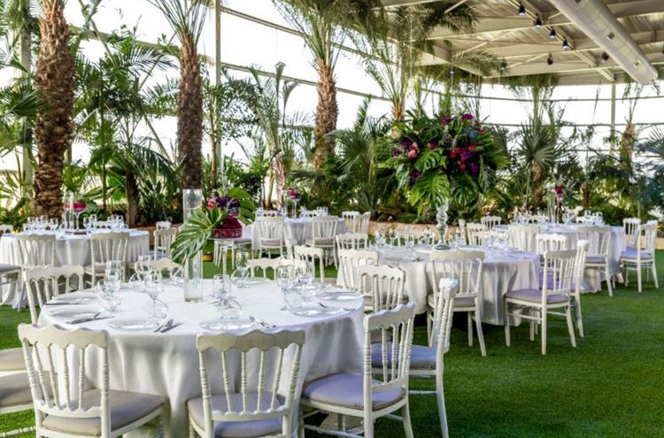 אל מול יופיו של הטבע: להתחתן באווירה פסטורלית 6