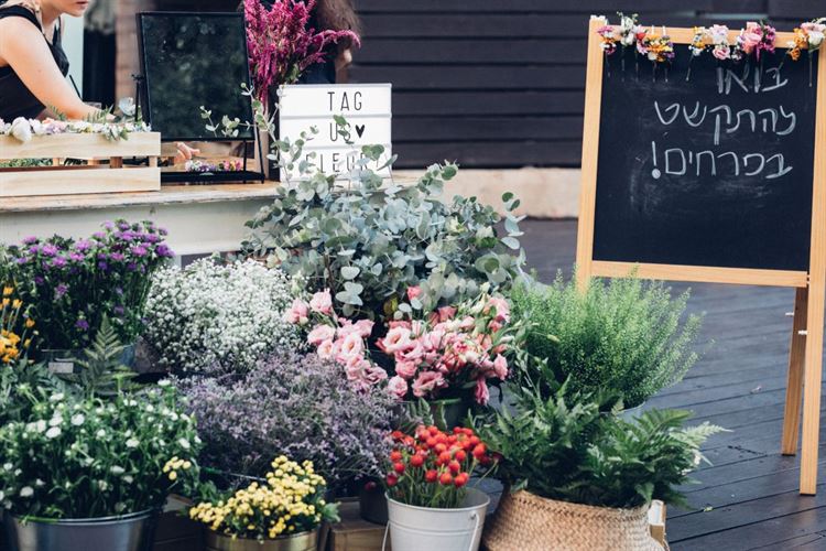 לא יאומן כי יסופר: הצעת הנישואין ששברה את כל הכללים 13