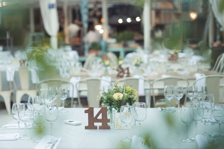 לא יאומן כי יסופר: הצעת הנישואין ששברה את כל הכללים 14