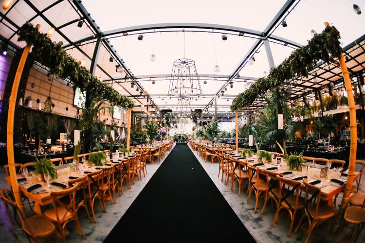 לילה באיביזה: מסיבת חתונה בווליום גבוה 11