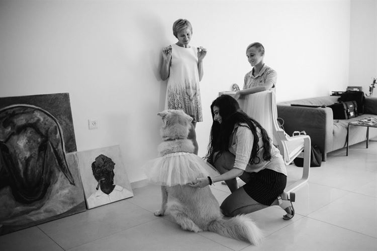 מים צוננים באמצע המדבר: הסיפור שישאיר אתכם צמאים לעוד 7