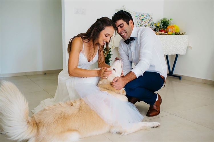 מים צוננים באמצע המדבר: הסיפור שישאיר אתכם צמאים לעוד 2