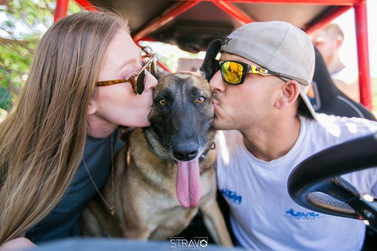 אופס: בקבוק השמפניה שהרס את ההצעה 3