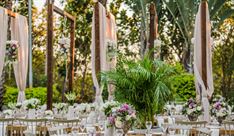 גני אירועים - אמיליה