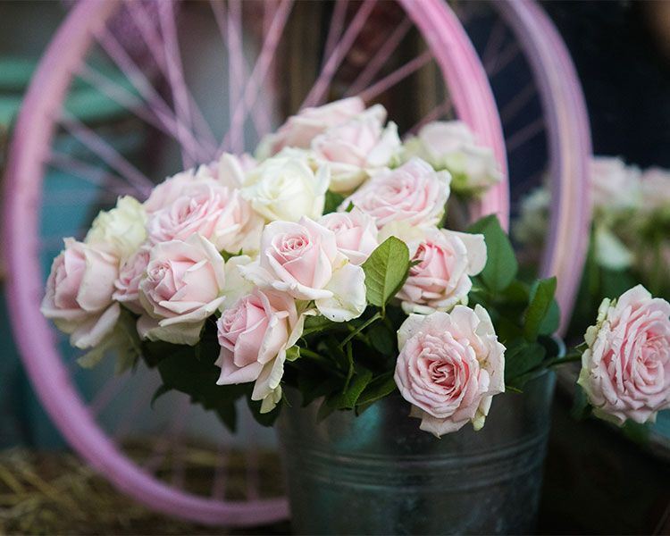 אופס: בקבוק השמפניה שהרס את ההצעה 12