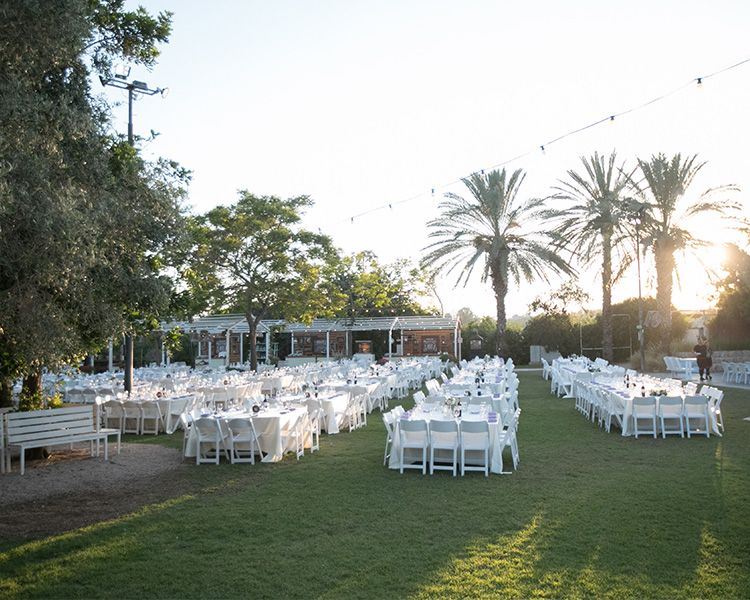 אופס: בקבוק השמפניה שהרס את ההצעה 15