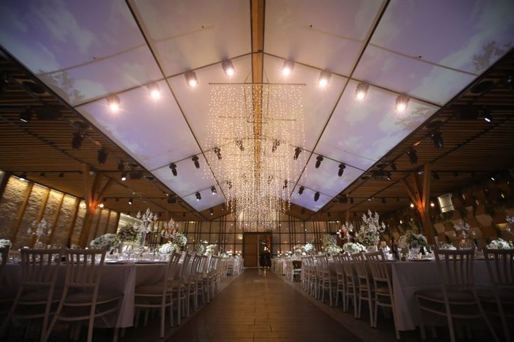 קריסמס לייטס מאירים את האולם (צילום: פיפל פוטוגרפי)