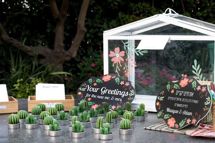 לאיזה קונספט הכי התחברת? (צילום: טל רביב)