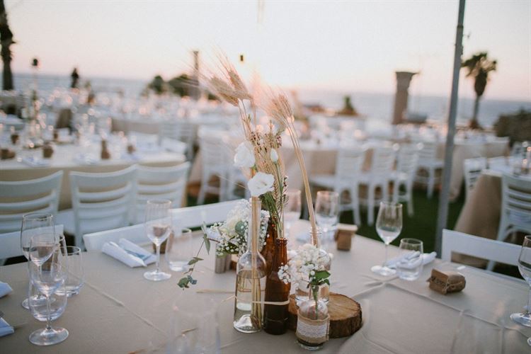 הצעת הנישואין ששברה את שיאי התחכום 11