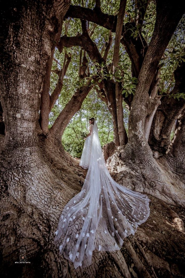 אל היער: צילומי זוגיות שמגלמים קסם ומסתורין 3