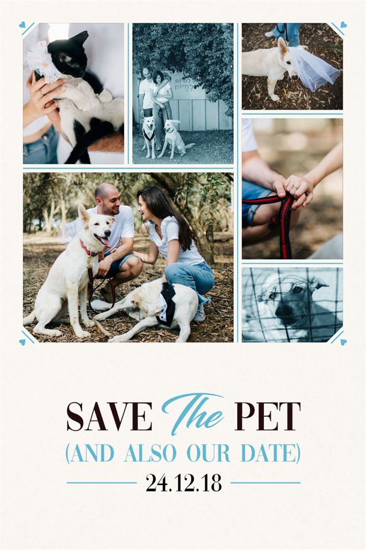 הזמנת החתונה הכי מרגשת שראינו by far (צילום: איגור לובנסקי)