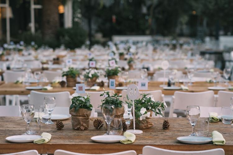 הכלה שהושלכה לבריכה: חתונת סוף סמסטר רטובה 12