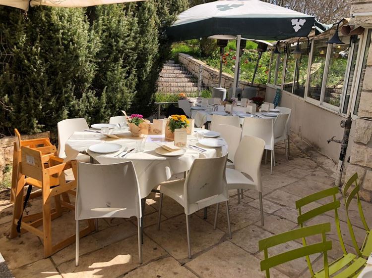 הפסטיבל החורפי של "קפית" בגן הבוטני 4