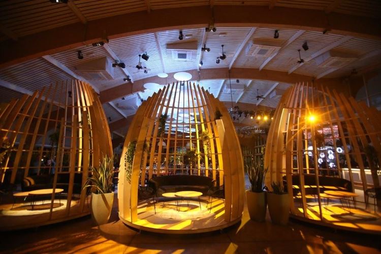 וואו: העיצוב החדש של גן הפקאן יותיר אתכם פעורי פה 4