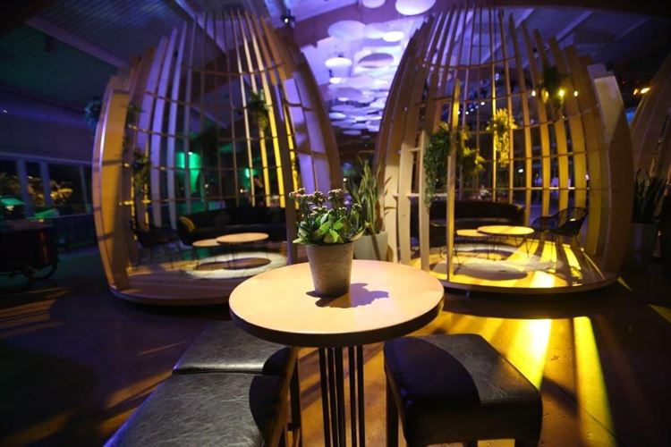 וואו: העיצוב החדש של גן הפקאן יותיר אתכם פעורי פה 5