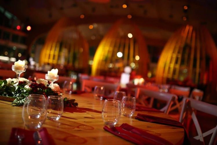 וואו: העיצוב החדש של גן הפקאן יותיר אתכם פעורי פה 11