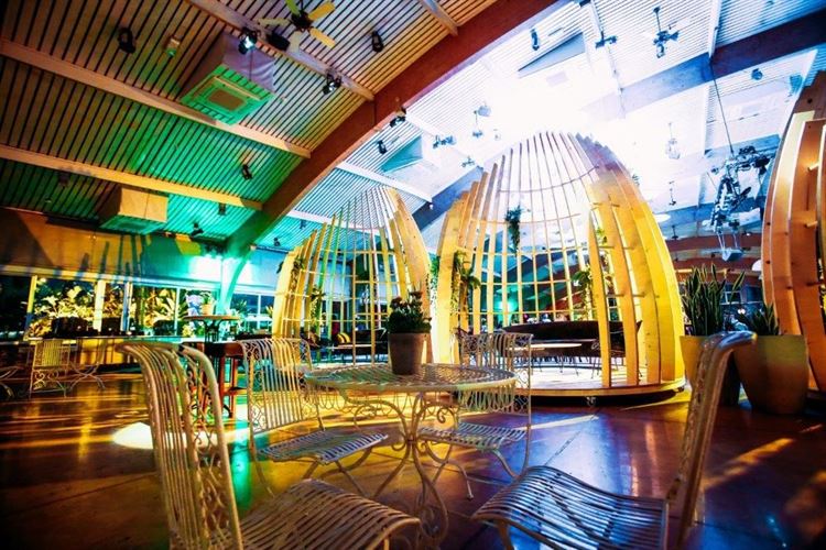 וואו: העיצוב החדש של גן הפקאן יותיר אתכם פעורי פה 12