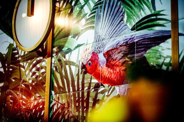 וואו: העיצוב החדש של גן הפקאן יותיר אתכם פעורי פה 13