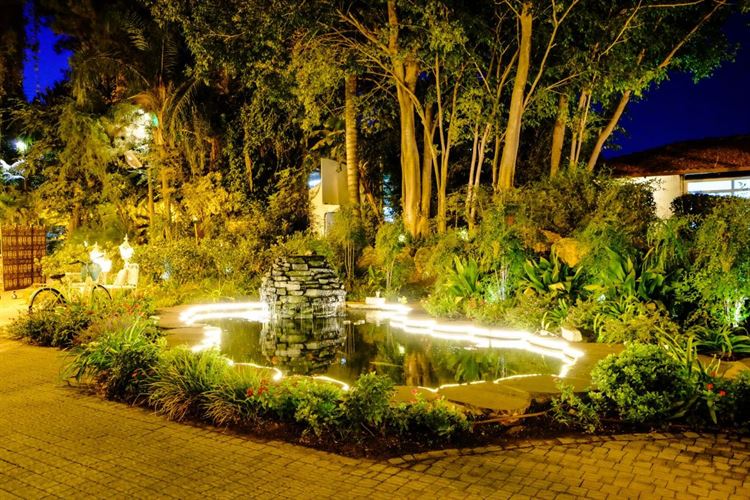 וואו: העיצוב החדש של גן הפקאן יותיר אתכם פעורי פה 15