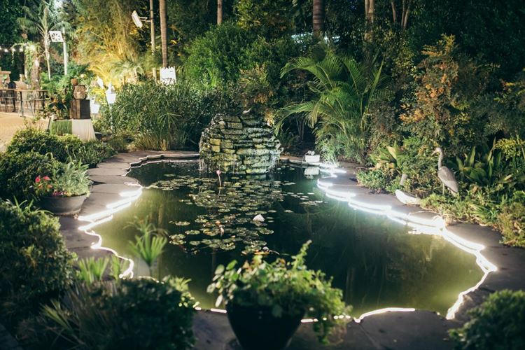 Welcome To The Jungle: איך מכניסים את הג'ונגל לתוך החתונה? 15