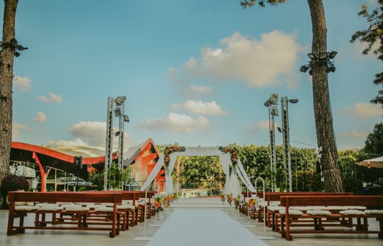 גברים, הצטיידו בעטים: זוהי הדרך האולטימטיבית לפייס אישה 12