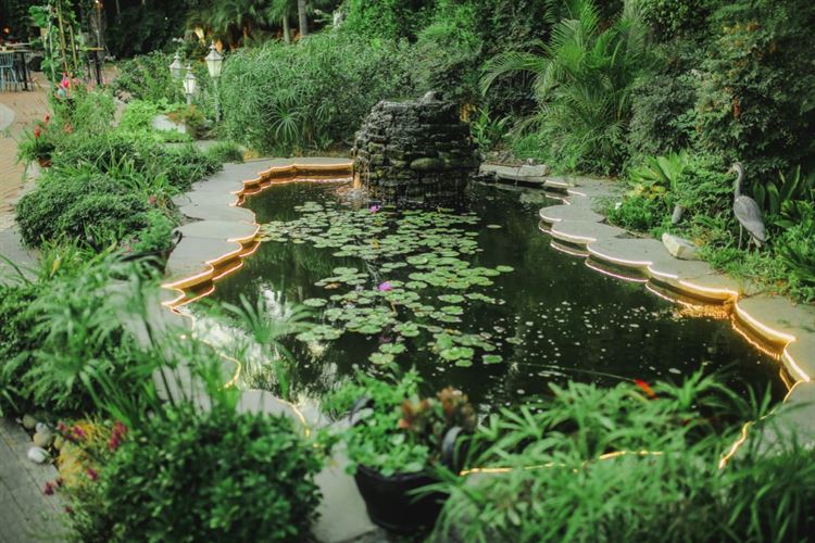 גברים, הצטיידו בעטים: זוהי הדרך האולטימטיבית לפייס אישה 13