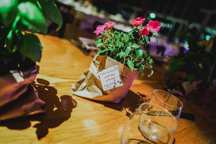 גברים, הצטיידו בעטים: זוהי הדרך האולטימטיבית לפייס אישה 16