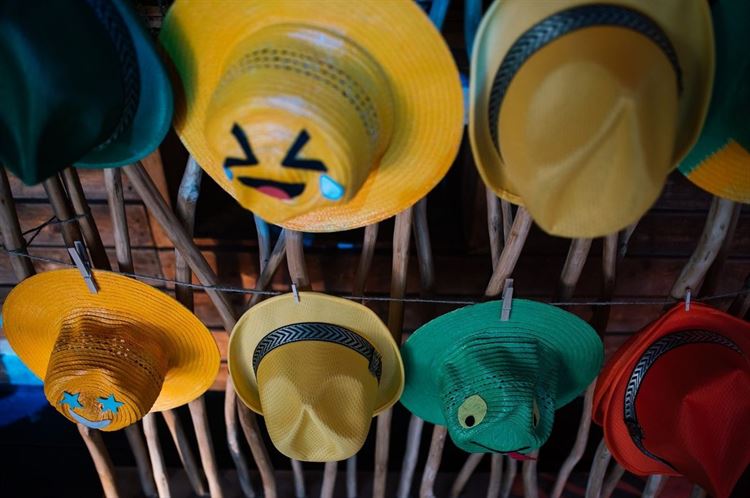 "לא האמנתי שזה קרה לי": גילתה בשורה מדהימה בזמן ירח דבש 14