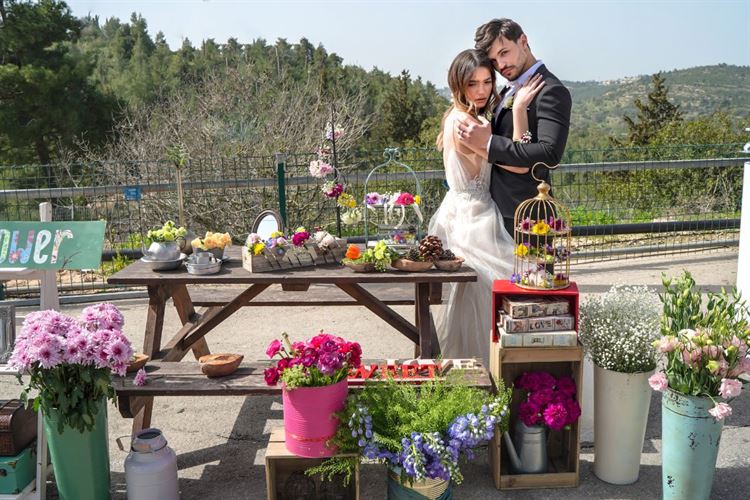 Like a circus: הפקת הפורים של וואלה! מזל טוב 17