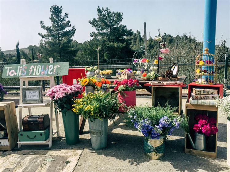 Like a circus: הפקת הפורים של וואלה! מזל טוב 43