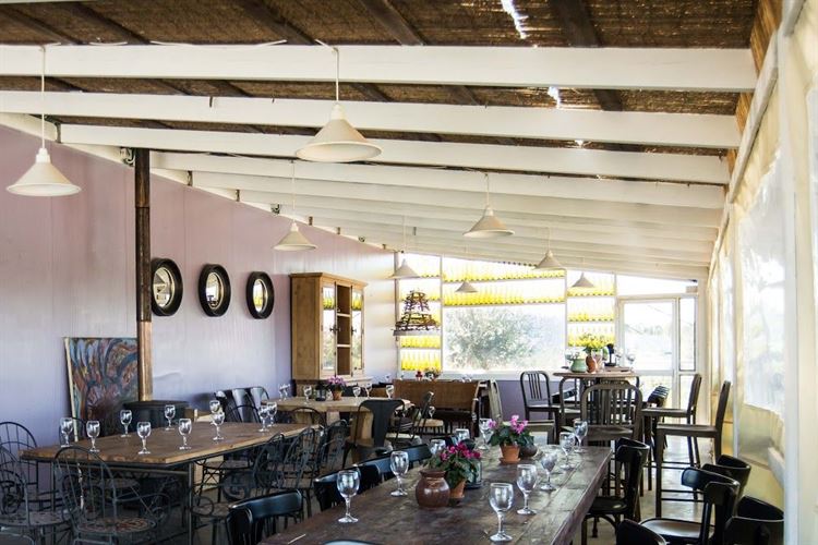 שוברים שגרה: אירועים ייחודיים בקיבוץ צובה 4