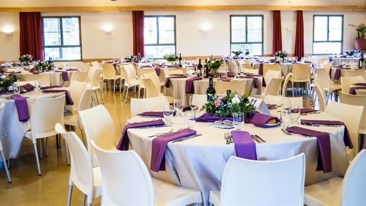 שוברים שגרה: אירועים ייחודיים בקיבוץ צובה 3