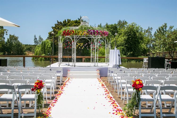 סוד האגם הקסום (צילום: יח