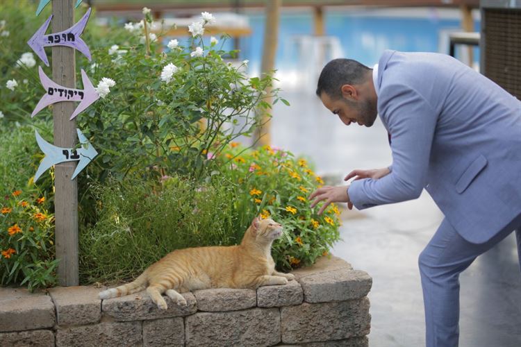 "בשישי לשישי": לא הרפתה עד שקיים את ההבטחה 15