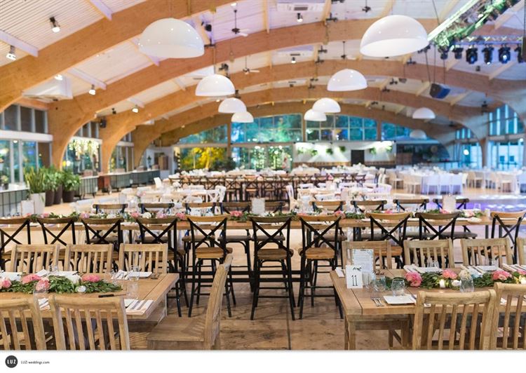 "מה אני, פראיירית?": הכירו את הכלה שלא מפספסת הזדמנויות 13