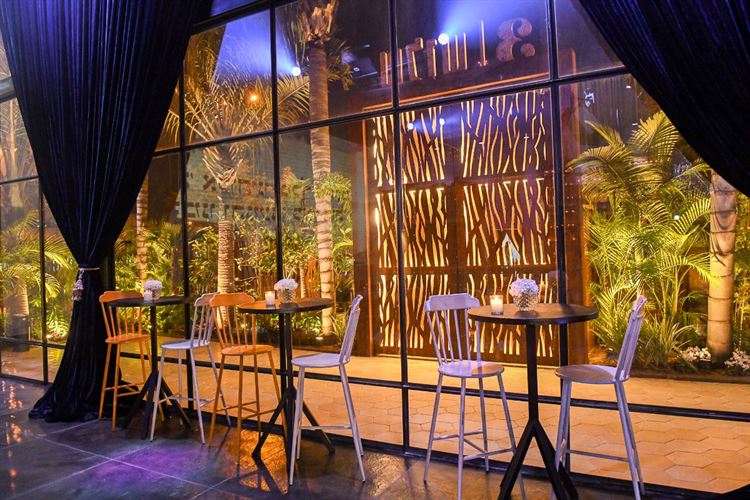 לחגוג בשיק וסטייל (צילום: יחצ)