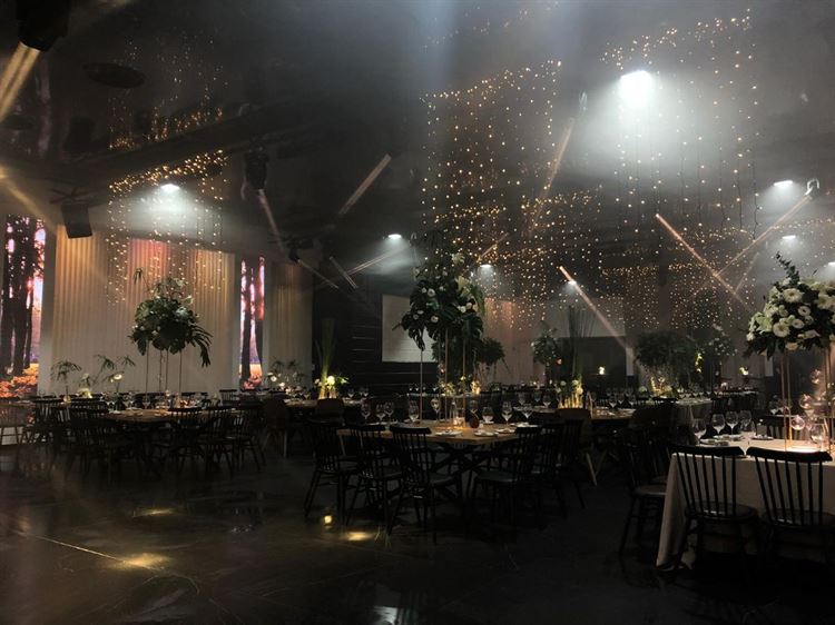 צפו: איך מכניסים יער טרופי לתוך אולם בוטיק? 3