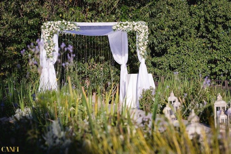 החופה כבר מוכנה (צילום: עידן כנפי)