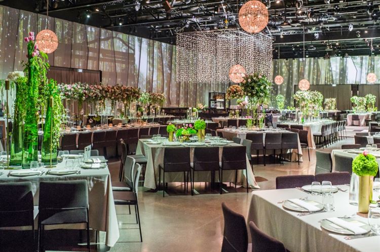 הפנטזיה הקסומה שלה: כשהאגדה מתעוררת לחיים בחתונה 3