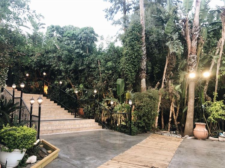 (צילום: וואלה! מזל טוב)