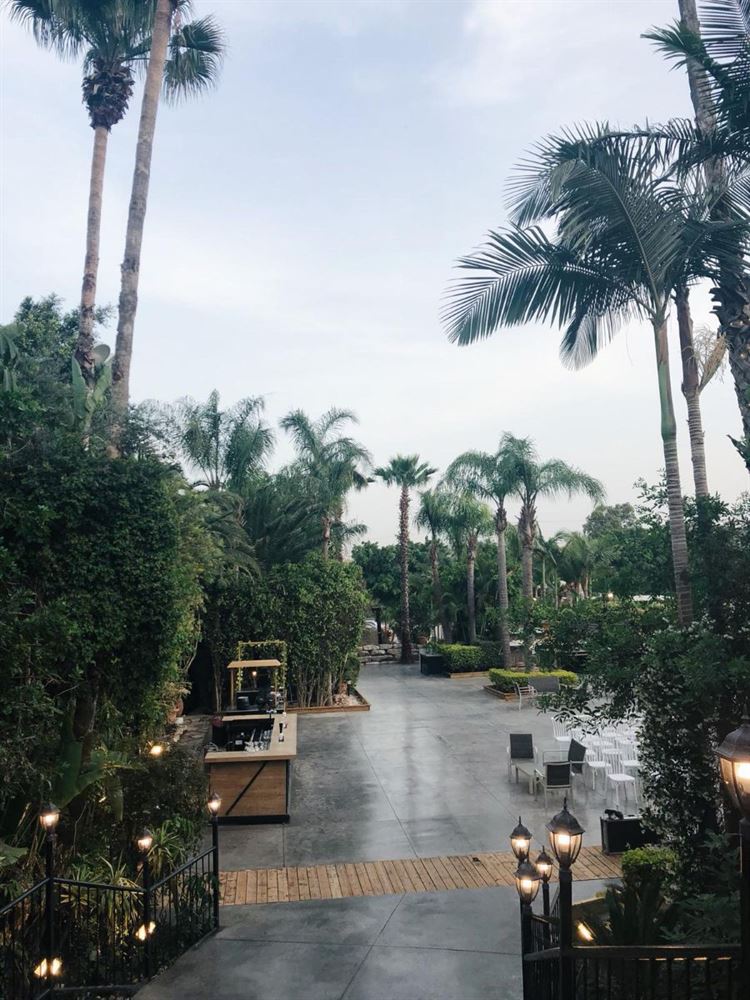 (צילום: וואלה! מזל טוב)