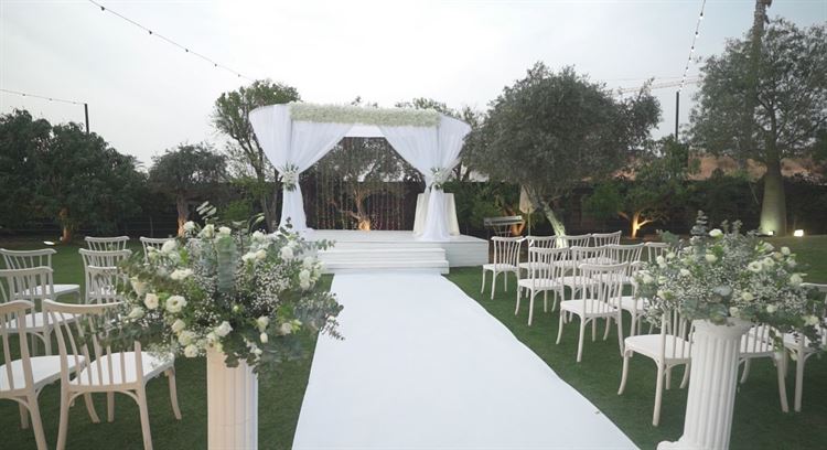 הטבע מציץ בכל פינה (צילום: מקסים. ס)