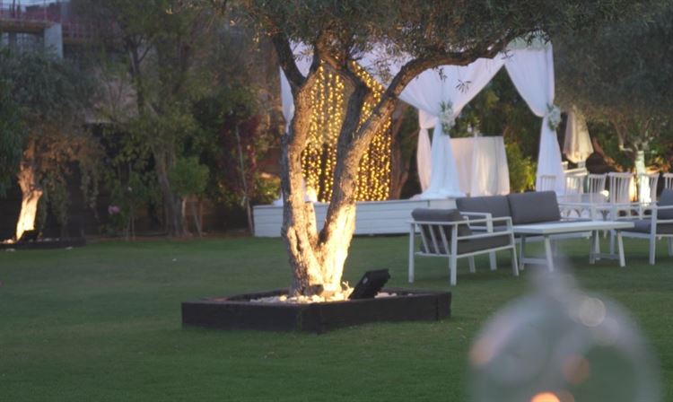 הגן הקסום שעבר מהפך (צילום: מקסים. ס)