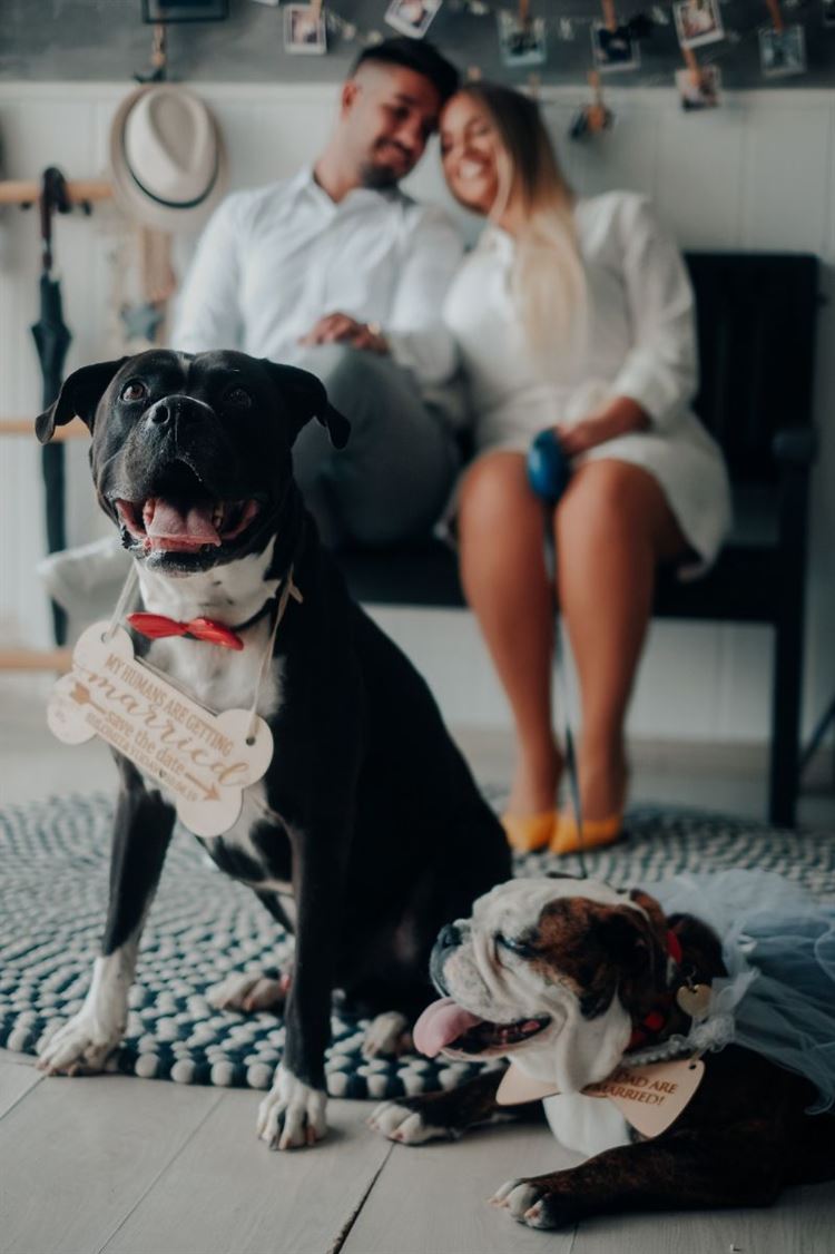 מבלי לדעת: הכלה שעזרה לארגן את הצעת הנישואין של עצמה 9