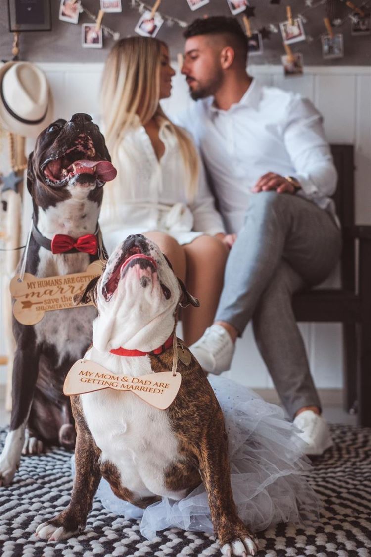 מבלי לדעת: הכלה שעזרה לארגן את הצעת הנישואין של עצמה 14