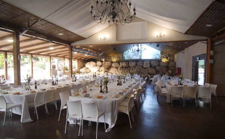 כאן מגשימים חלומות (צילום: אריק קרמינסקי)