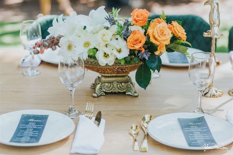 הפקת ''סוד הגן הנעלם'' (צילום: עידן חסון)