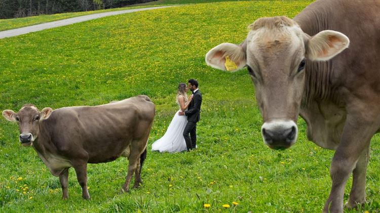 עם שמלת כלה ב-5 מעלות: צילומי זוגיות מרהיבים באיטליה 33