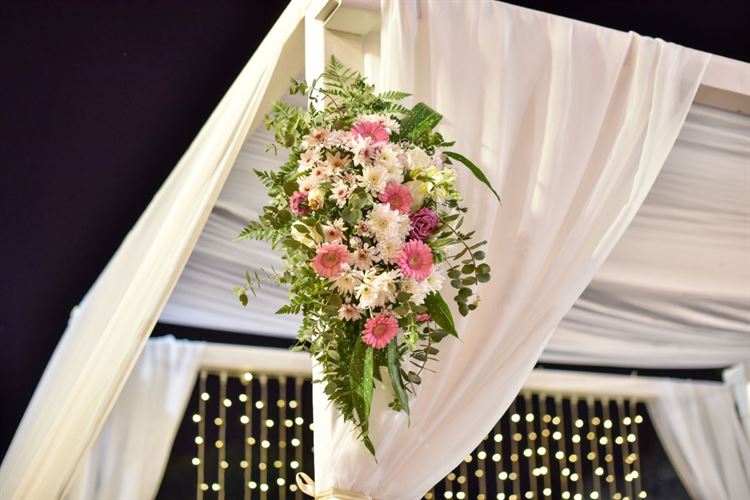 לא הפסיק לטעות: הצעת נישואים בתסבוכת 20