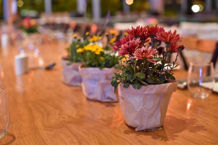 לא הפסיק לטעות: הצעת נישואים בתסבוכת 21